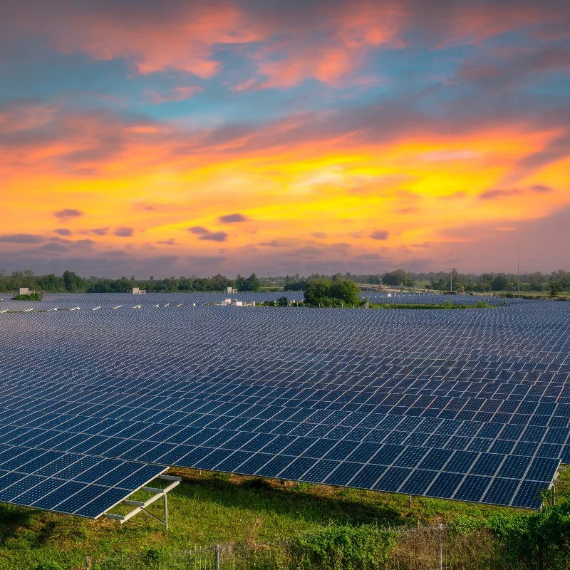 Solar Farm in Evening