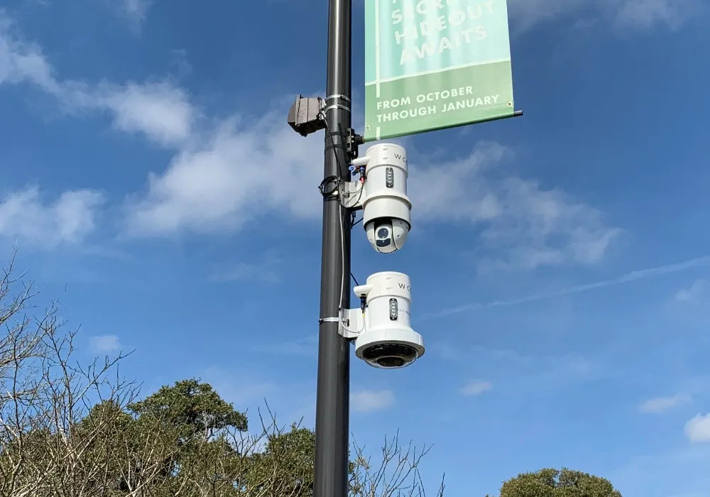 Two Pole Cameras - Header